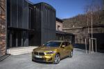 BMW X2 xDrive25d M Sport 2018 года (WW)
